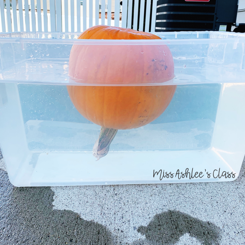 pumpkin floating in a tub of water