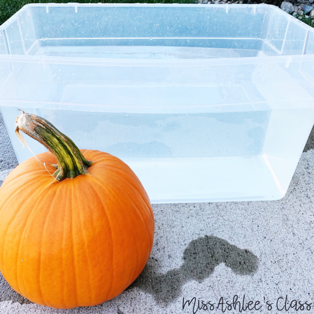 pumpkin and a tub of water