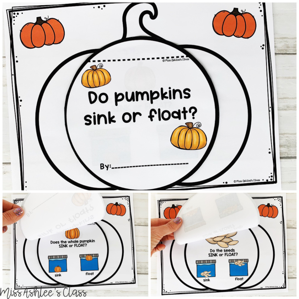 Pumpkin Experiment: Do Pumpkins Sink or Float? - Miss Ashlees Class