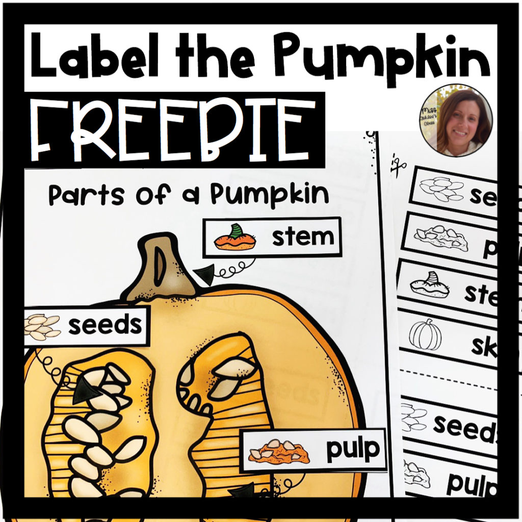 label the pumpkin worksheet