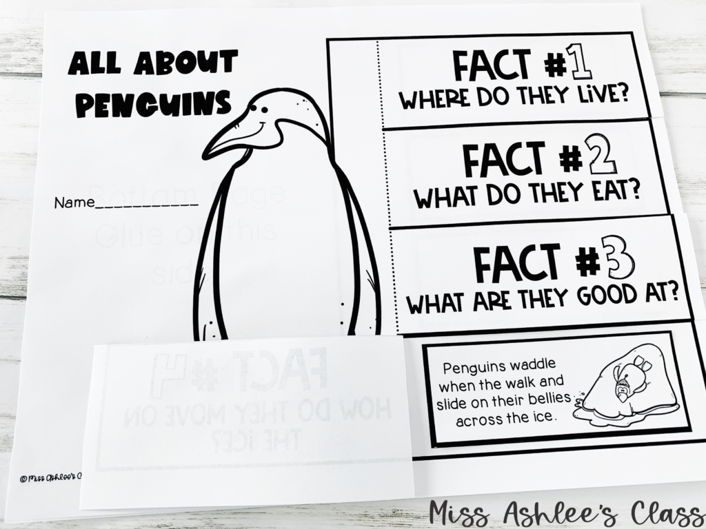 penguin fact flap page