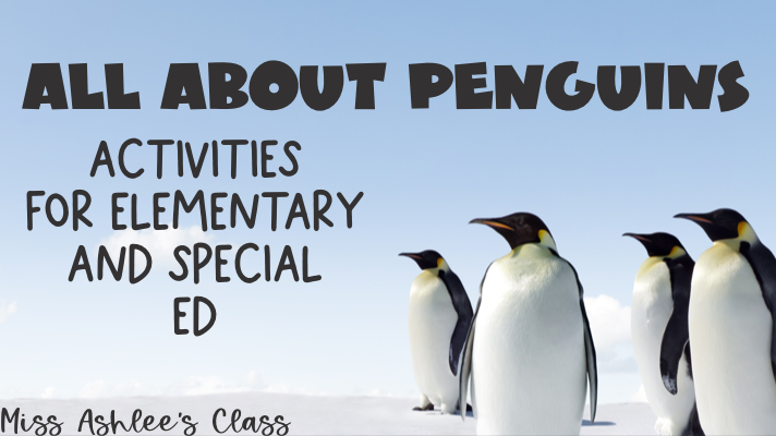 Penguin Activities for Elementary and Special Ed